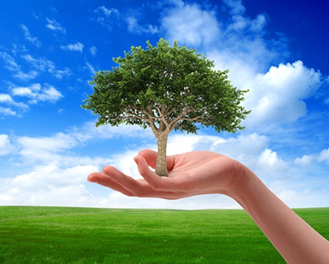 Παγκόσμια Ημέρα Περιβάλλοντος | Δίου Ολύμπου: "Ανακυκλώνουμε συστηματικά και σωστά"