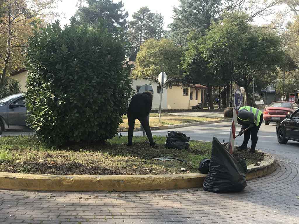 Δήμος Κατερίνης | Φύτευση ανθοφόρων λουλουδιών σε πλατείες & κοινόχρηστους χώρους