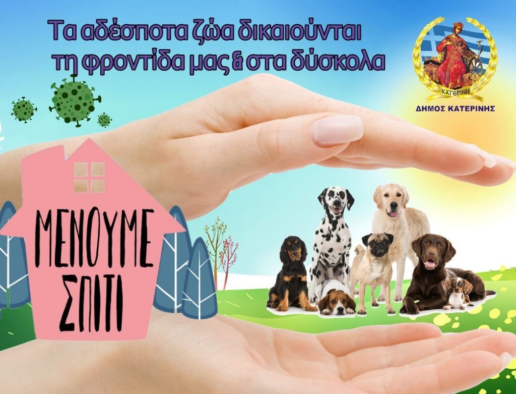 Δήμος Κατερίνης | Καταδίκη των κρουσμάτων δηλητηρίασης αδέσποτων στην περιοχή του νοσοκομείου