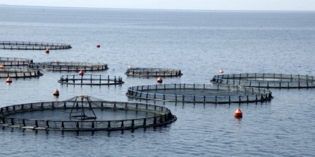 Απαγόρευση αλιείας στα εσωτερικά ύδατα του Νομού Πιερίας έως 2 Ιουνίου
