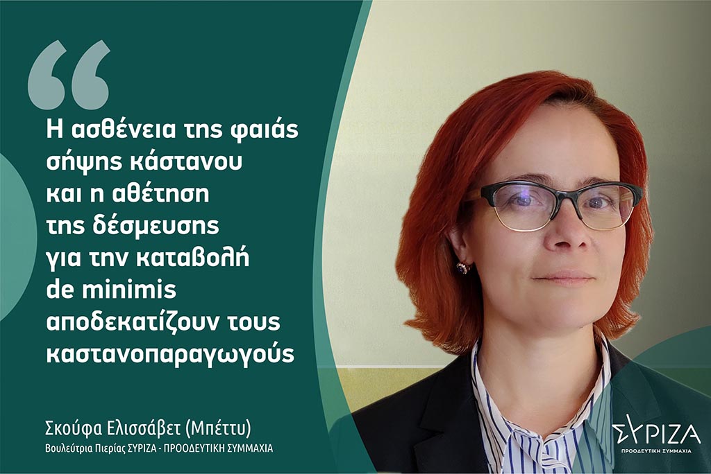 Σκούφα: «Η ασθένεια της φαιάς σήψης κάστανου και η αθέτηση της δέσμευσης για την καταβολή de minimis αποδεκατίζουν τους καστανοπαραγωγούς»