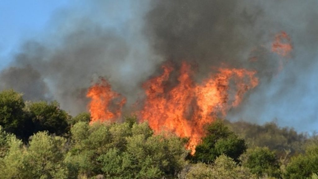 Απαγορεύεται η καύση των φυτικών υπολειμμάτων των καλλιεργειών κατά τη διάρκεια της αντιπυρικής περιόδου