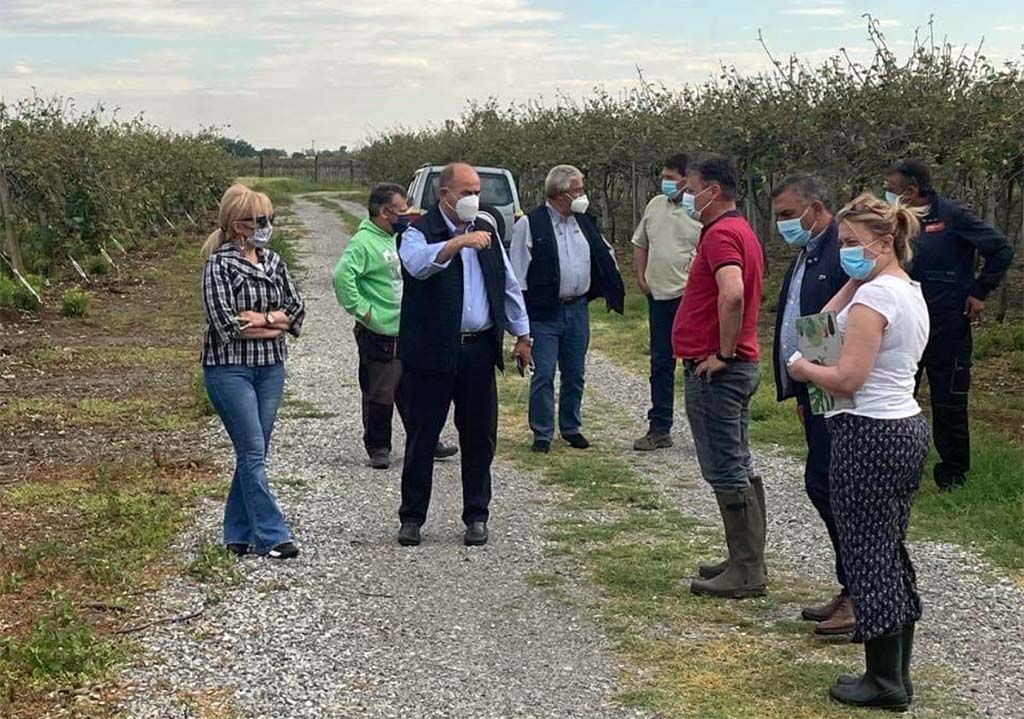 Επίσκεψη Αντιπεριφερειάρχη Πιερίας στις πληγείσες από το χαλάζι καλλιέργειες της περιοχής του Δήμου Δίου-Ολύμπου
