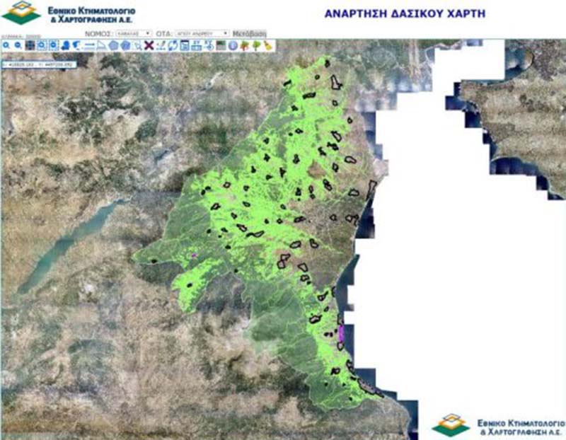 Πιερία | Παράταση για την υποβολή αντιρρήσεων στους δασικούς χάρτες έως 15/11