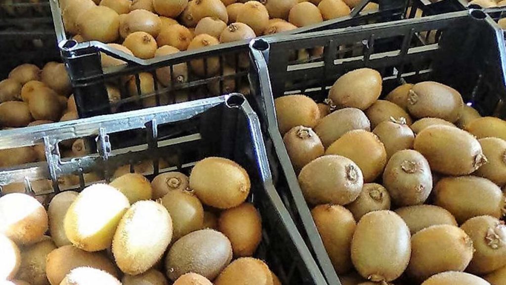 Πιερία | Απάτη με ακτινίδια αξίας 6.550€ σε βάρος 38χρονου