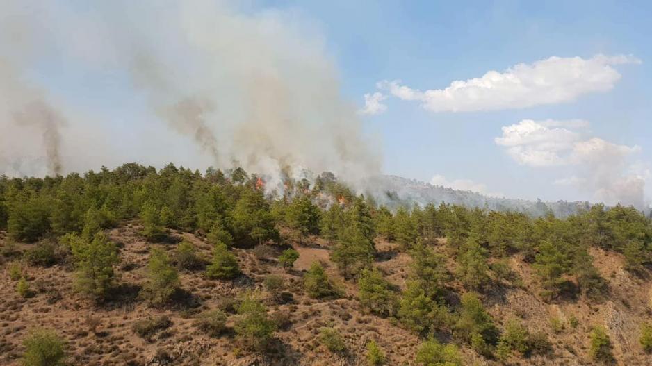 Υψηλός ο κίνδυνος πυρκαγιάς στην Πιερία την Τετάρτη 21/7