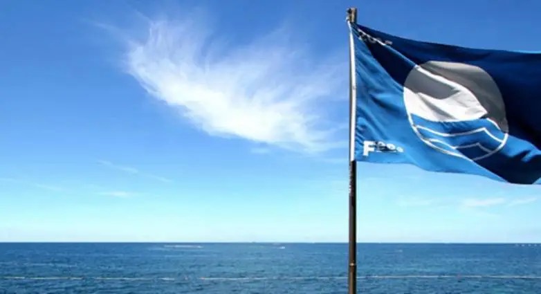 Πολίτες σε Δράση | Θα αναλάβει κάποιος την ευθύνη ή για άλλη μια φορά η διοίκηση θα βρει κάποιον άλλο υπεύθυνο για τη νέα αποτυχία;