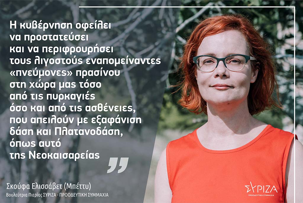 Σκούφα: «Η κυβέρνηση οφείλει να προστατεύσει και να περιφρουρήσει τους λιγοστούς εναπομείναντες «πνεύμονες» πρασίνου στη χώρα μας τόσο από τις πυρκαγιές όσο και από τις ασθένειες, που απειλούν με εξαφάνιση δάση και Πλατανοδάση, όπως αυτό της Νεοκαισαρείας»