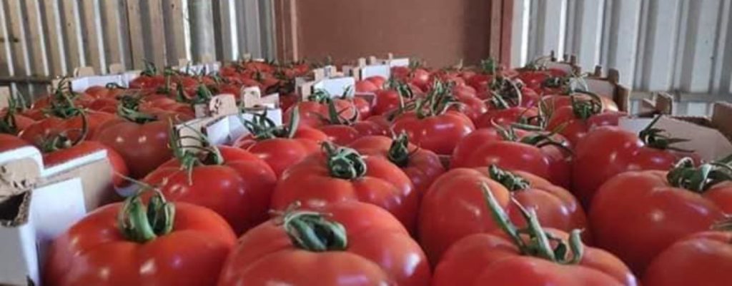 Οπωροκηπευτικά | Εντοπίστηκαν φορτία με υπολείμματα φυτοφαρμάκων
