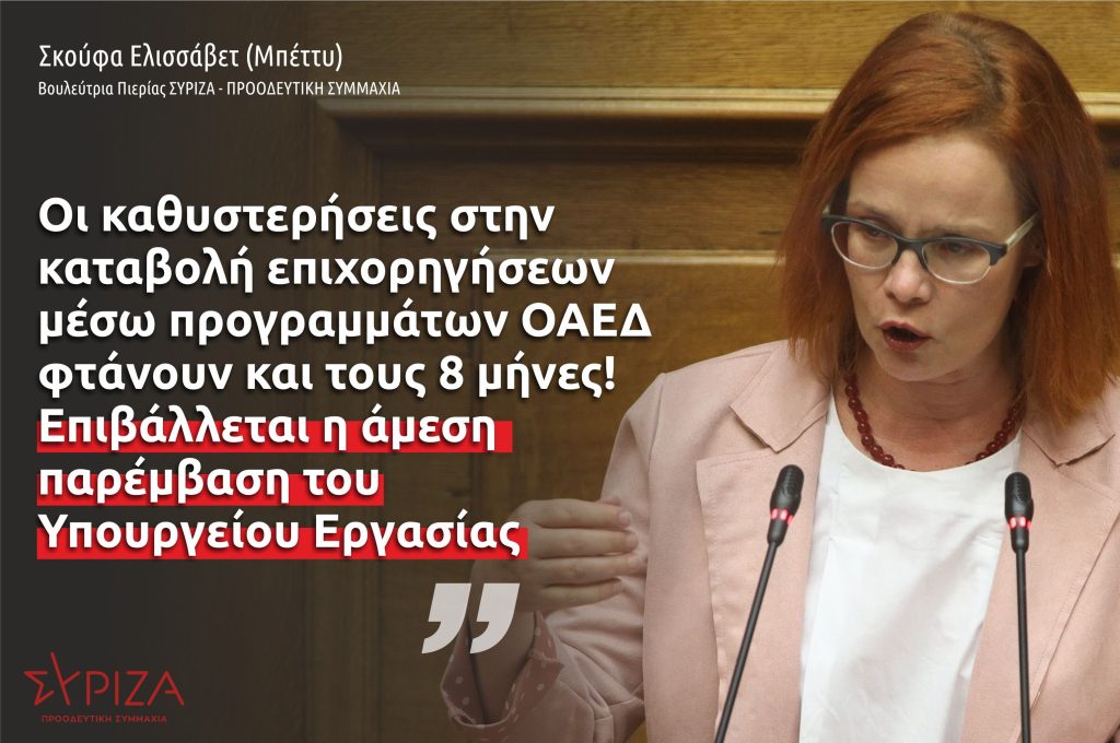 Σκούφα: "Οι καθυστερήσεις στην καταβολή επιχορηγήσεων προγραμμάτων ΟΑΕΔ φτάνουν και τους 8 μήνες!"