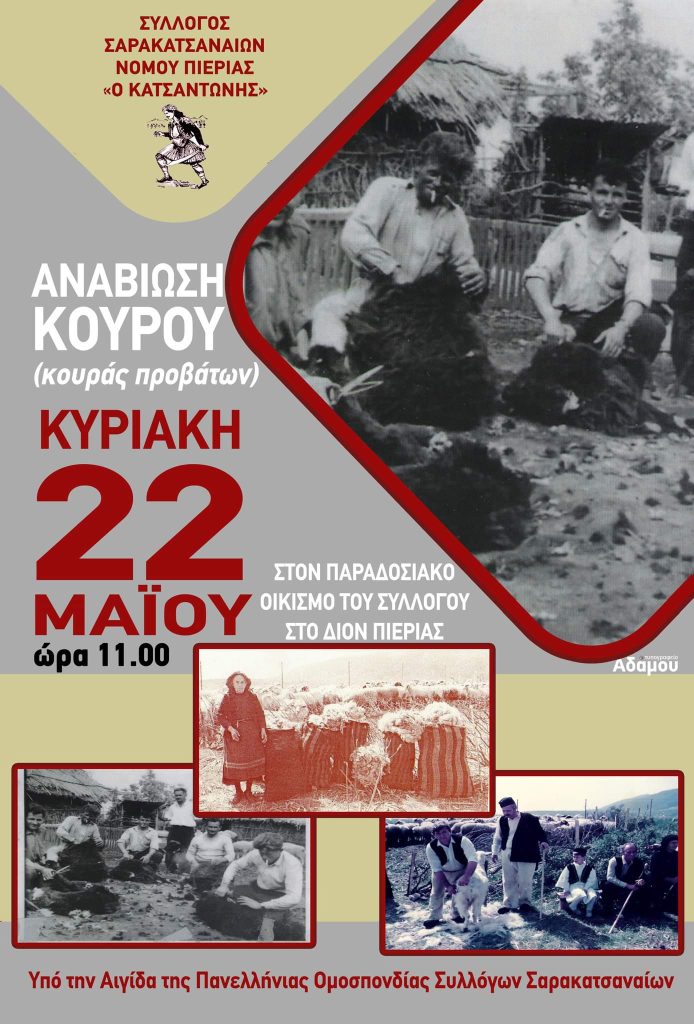 Σαρακατσαναίοι Πιερίας | Αναβίωση του εθίμου του Κούρου