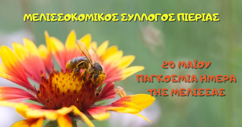 Οι μελισσοκόμοι της Πιερίας για την 20η Μαΐου Παγκόσμια Ημέρα της Μέλισσας