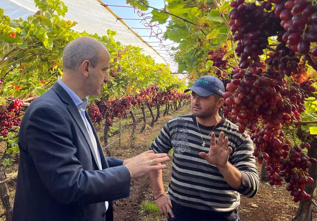Ξεκινούν οι αποζημιώσεις για τα σταφύλια Crimson στην Πιερία