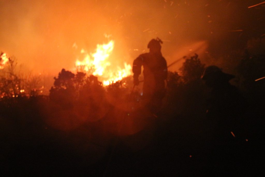 Ολονύχτια η μάχη των πυροσβεστών στο δάσος της Δαδιάς