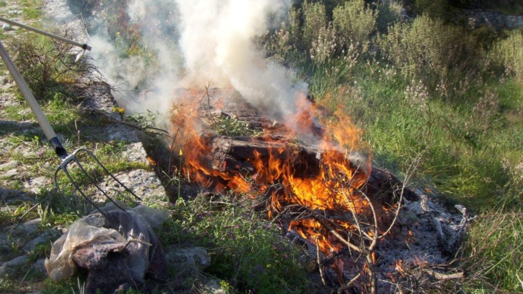 Πλαταμώνας | Πρόστιμο σε γυναίκα για καύση ξηρών χόρτων και κλαδιών
